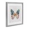 Stupell Industries Floral Flight Butterfly Wings Framed Print Under Glass, design by Nicole DeCamp